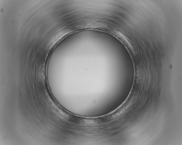 X0000088620794200706081520
