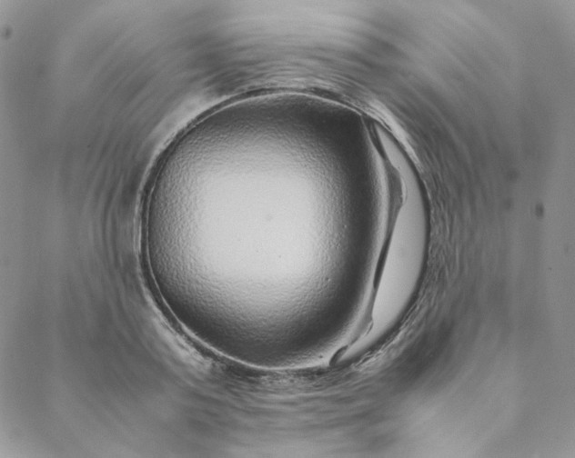 X0000088620795200706081520
