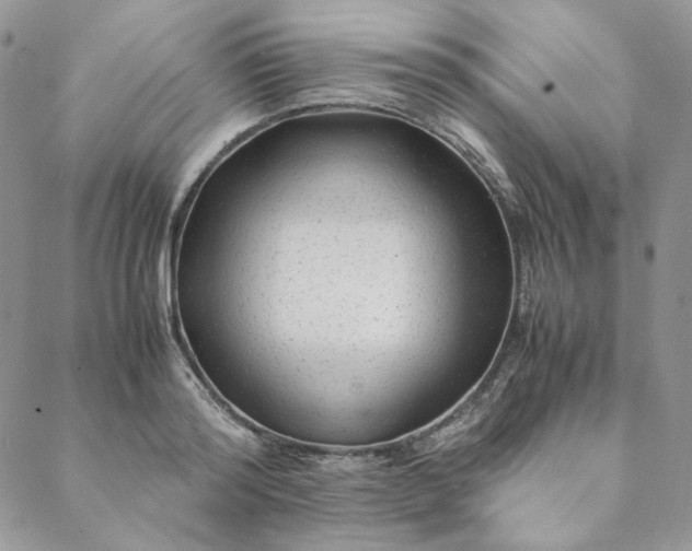 X0000088620796200706081520