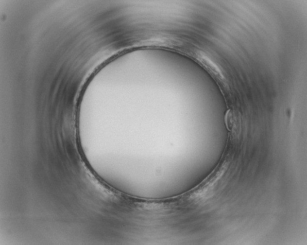 X0000088620800200706081520