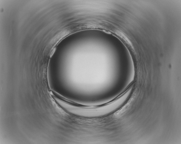 X0000088620801200706081520