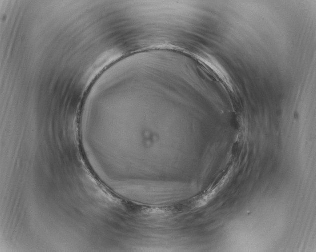 X0000088620806200706081520