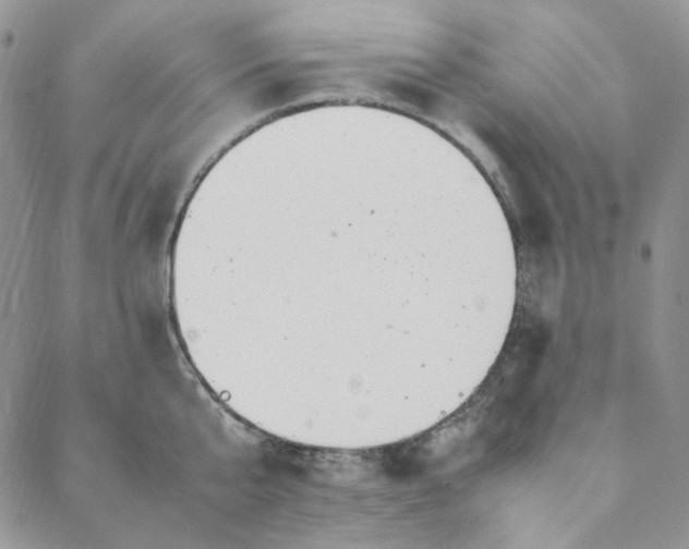 X0000088620807200706081520