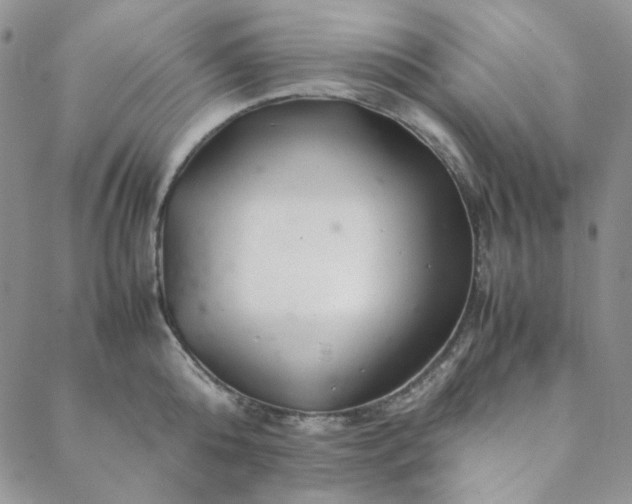 X0000088620808200706081520