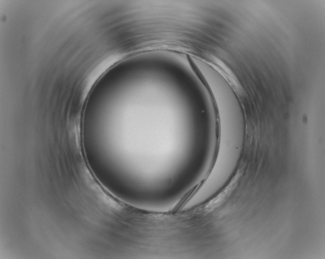 X0000088620812200706081520