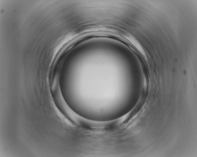 X0000088620813200706081520