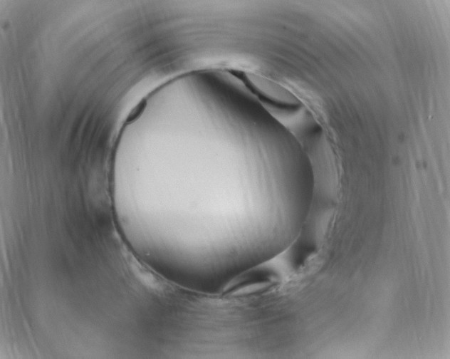 X0000088620816200706081520