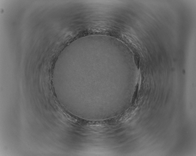 X0000088620817200706081519