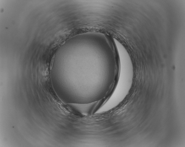 X0000088620818200706081519