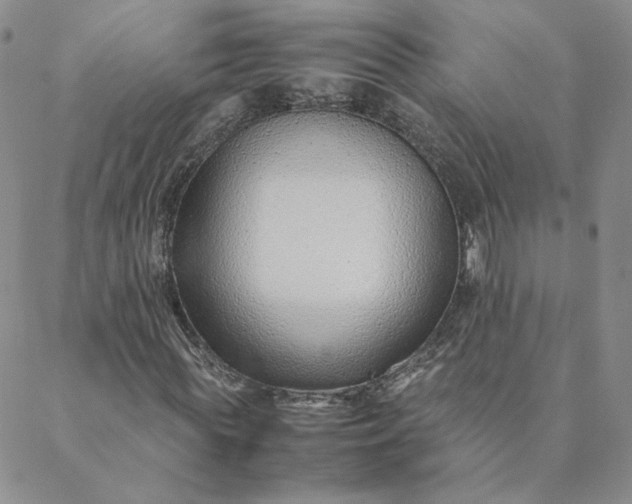 X0000088620819200706081519