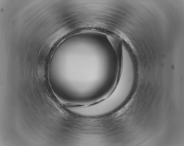 X0000088620826200706081519