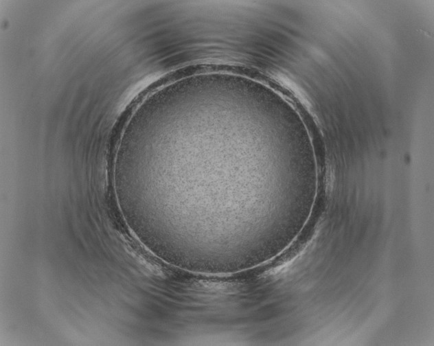 X0000088620829200706081519
