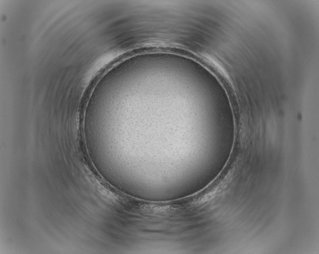 X0000088620831200706081519