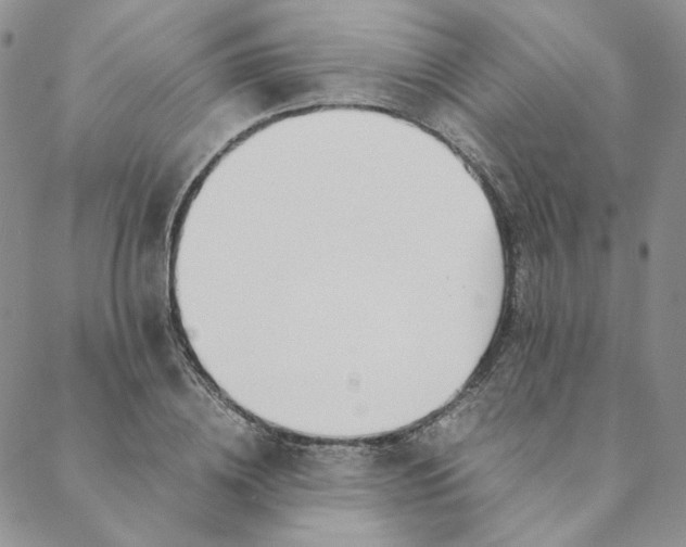 X0000088620836200706081519