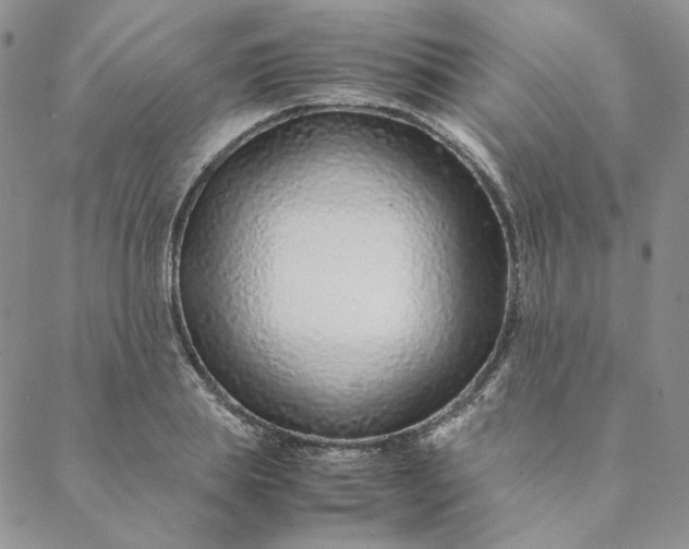 X0000088620839200706081519