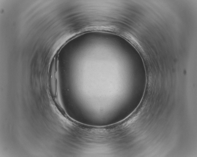 X0000088620844200706081519