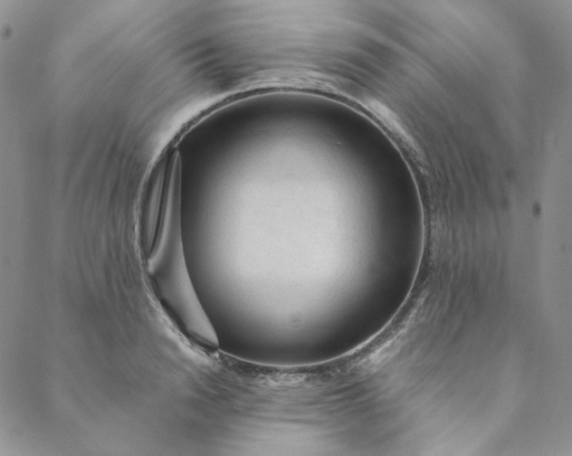 X0000088620846200706081519
