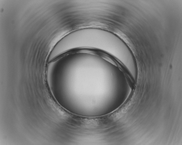 X0000088620850200706081520