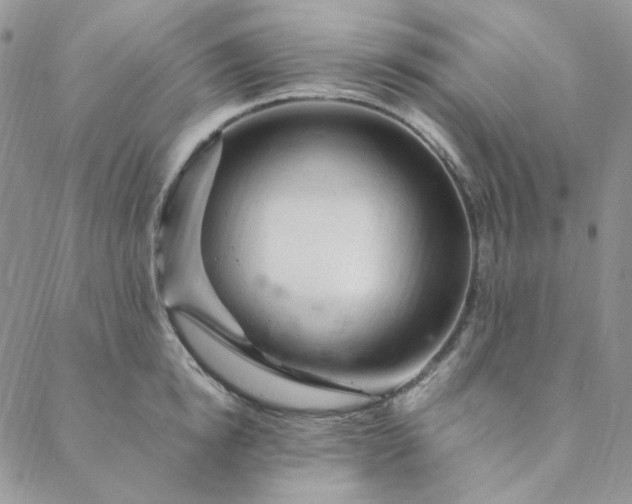 X0000088620854200706081520