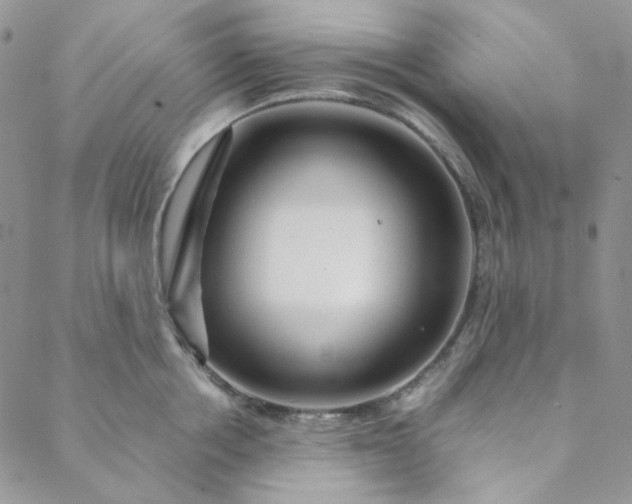 X0000088620858200706081520
