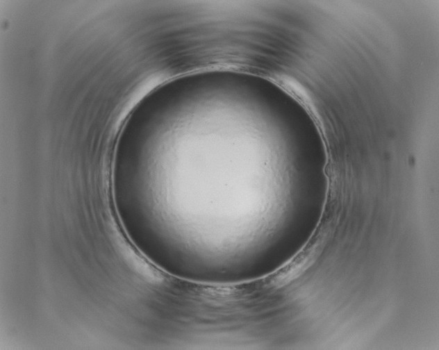 X0000088620859200706081520
