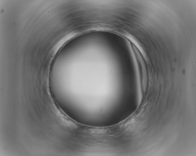 X0000088620861200706081520