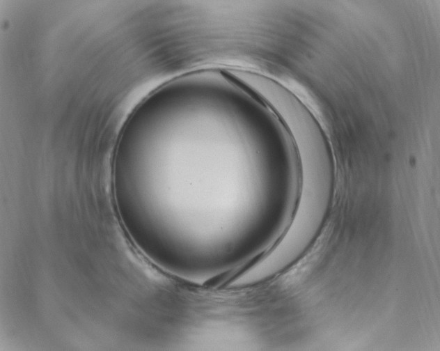 X0000088620862200706081520
