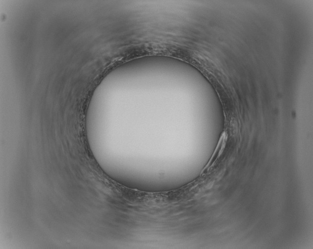 X0000088620865200706081519