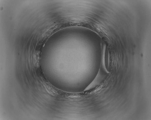 X0000088620868200706081519