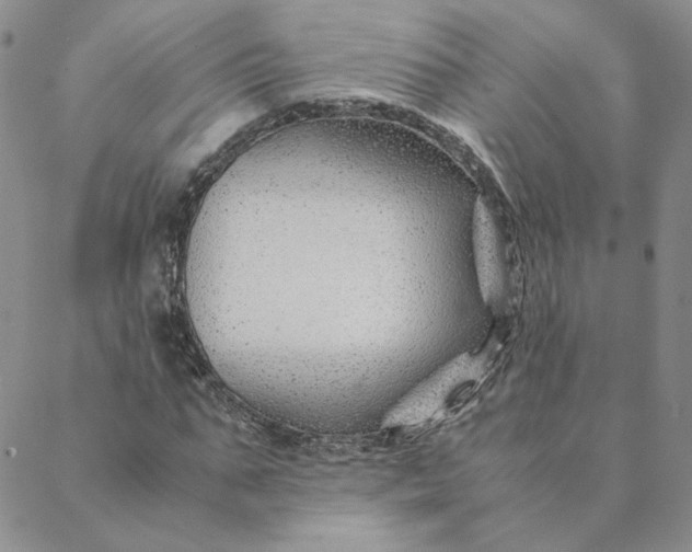 X0000088620871200706081519