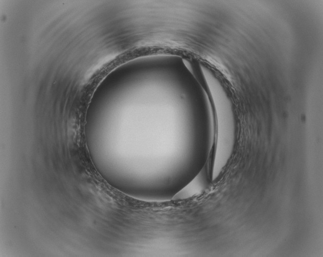 X0000088620872200706081519