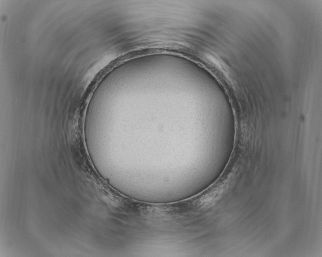 X0000088620875200706081519