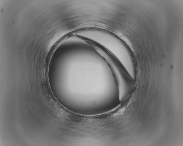 X0000088620877200706081519