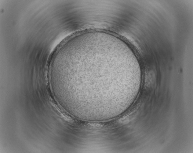 X0000088620878200706081519