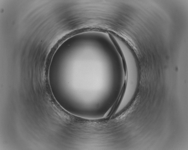 X0000088620880200706081519