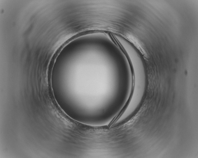 X0000088620884200706081519