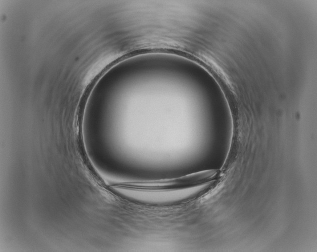 X0000088620885200706081519