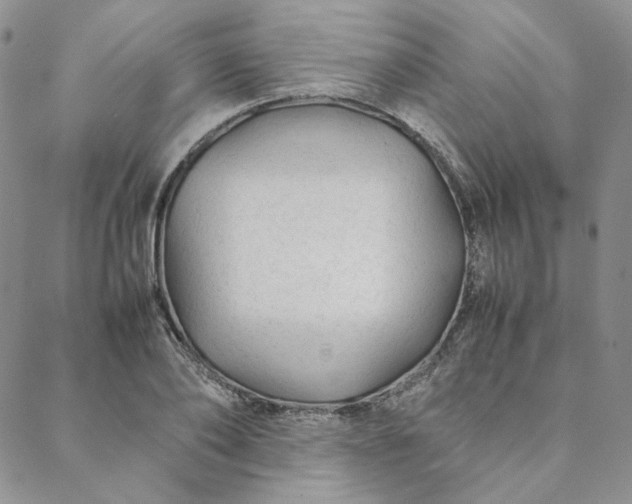 X0000088620886200706081519