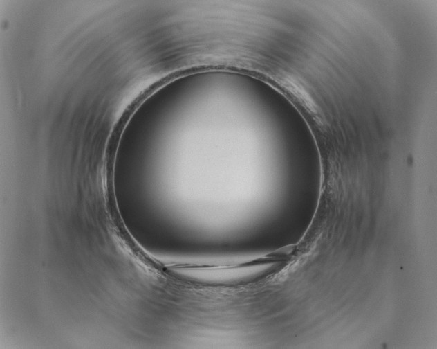 X0000088620888200706081519