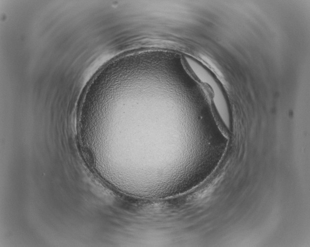 X0000088620891200706081519