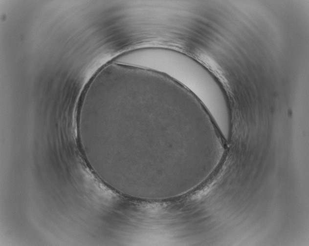 X0000088620892200706081519