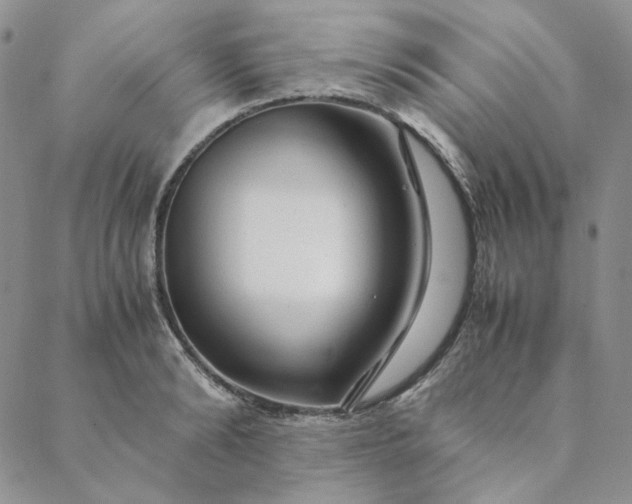 X0000088620894200706081519