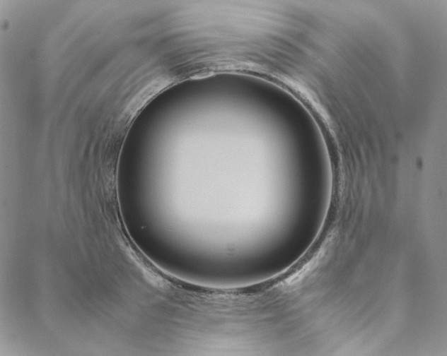 X0000088620897200706081518