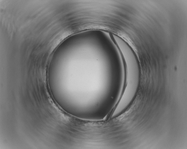 X0000088620898200706081518