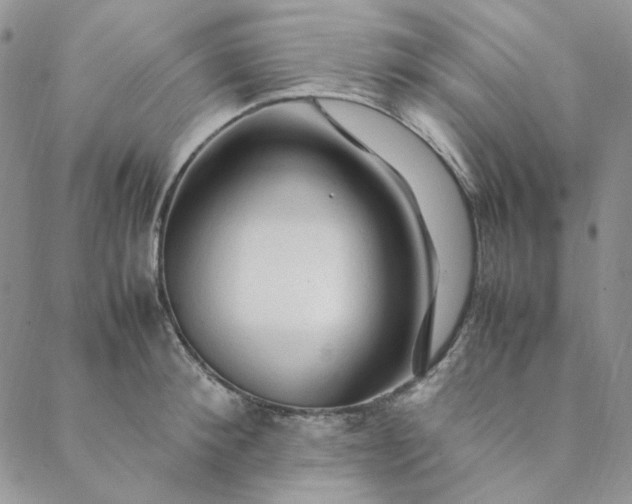 X0000088620900200706081518
