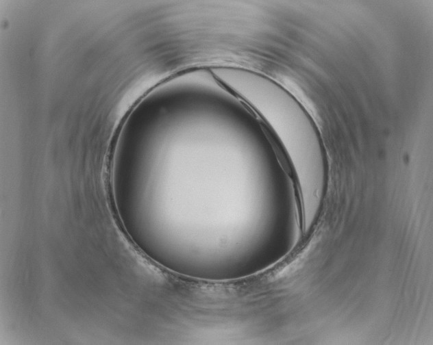 X0000088620901200706081518