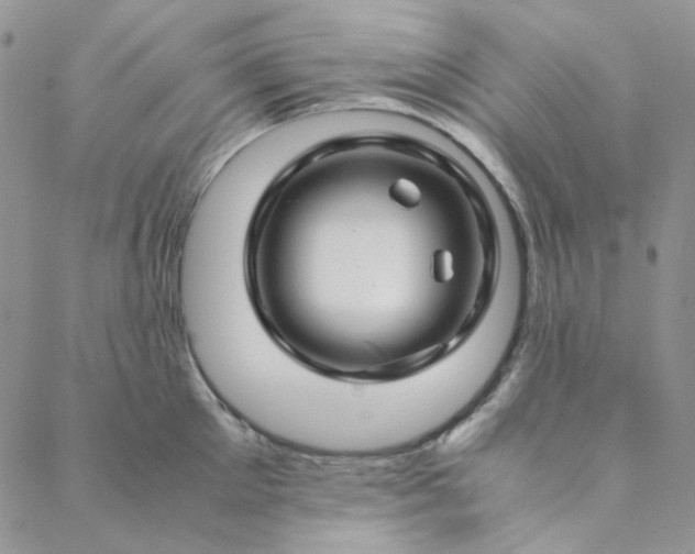 X0000088620905200706081518