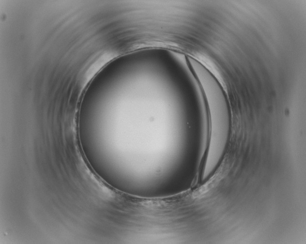 X0000088620906200706081518