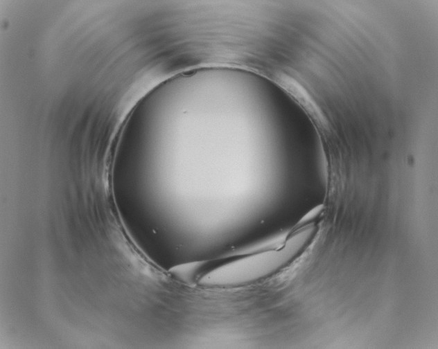 X0000088620908200706081518