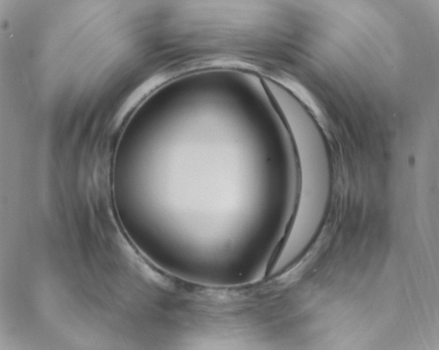 X0000088620910200706081518